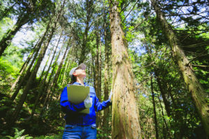 Woman standing in the woods with a clipboard observing a tree