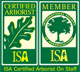 Green ISA Certified Arborist badge with yellow lettering and icons of a leaf and tree