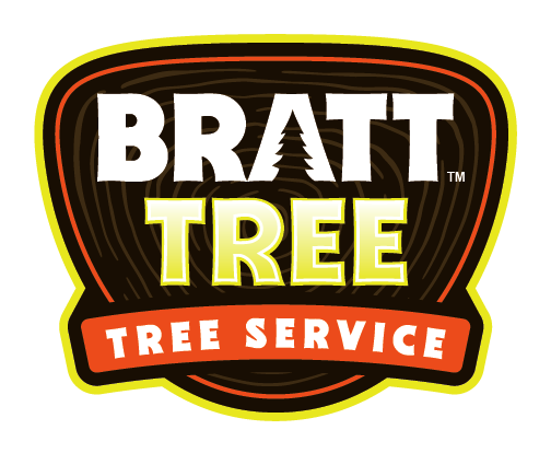 Tree Logo