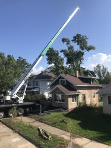 bratt tree removing large tree behind home