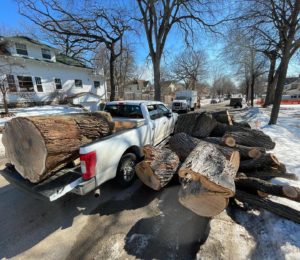 Large cut tree trunks waiting to be loaded into a Bratt Tree Company truck bed