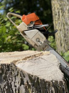 Electric saw with blade sticking into a cut tree stump