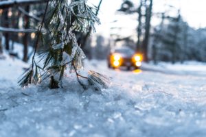 View from snowy ground next to snow-covered pine boughs, along a road with a blurred car approaching