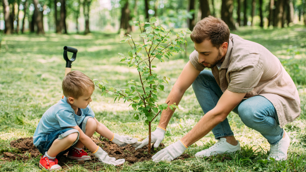 Father and young son planting a tree sapling in the ground together. 
