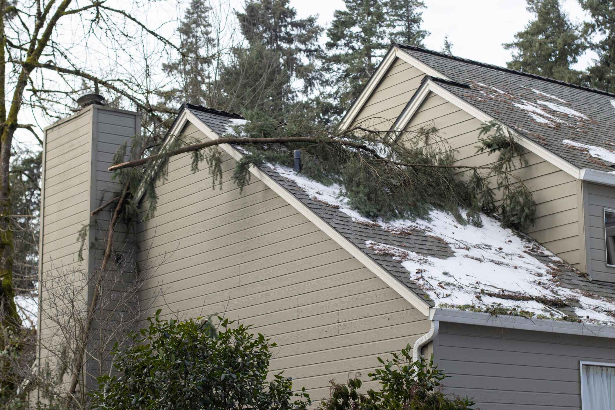 Tree fallen on top of a home's roof