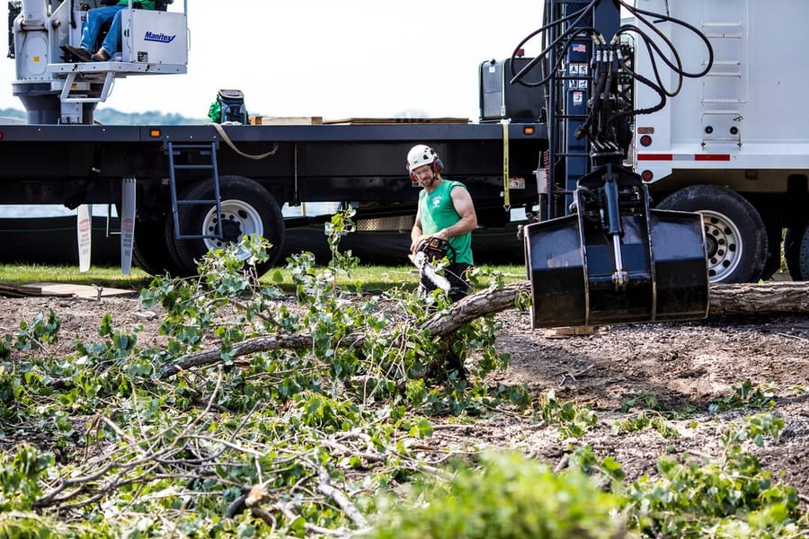 ISA-certified arborist using a chainsaw to remove fallen branches while a crane operator assists with tree removal on a residential property in the Twin Cities.