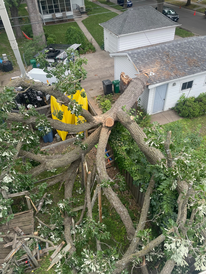 A fallen tree in a backyard due to a severe storm