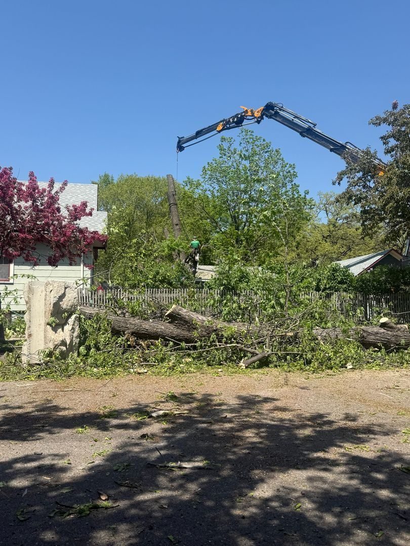 A large crane removing trees in a residential neighborhood